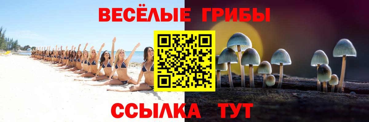 Псилоцибиновые грибы Magic Shrooms Копейск